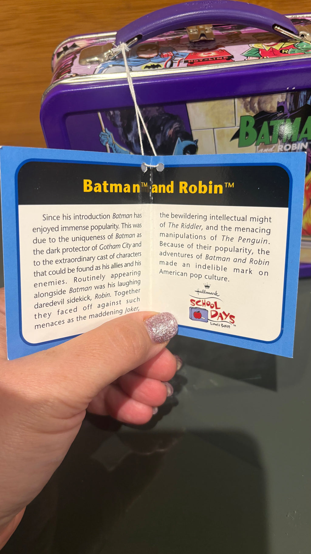 Batman & Robin DC Comics Metal Lunch Tin – Hasbro Hallmark Vintage Collectible..