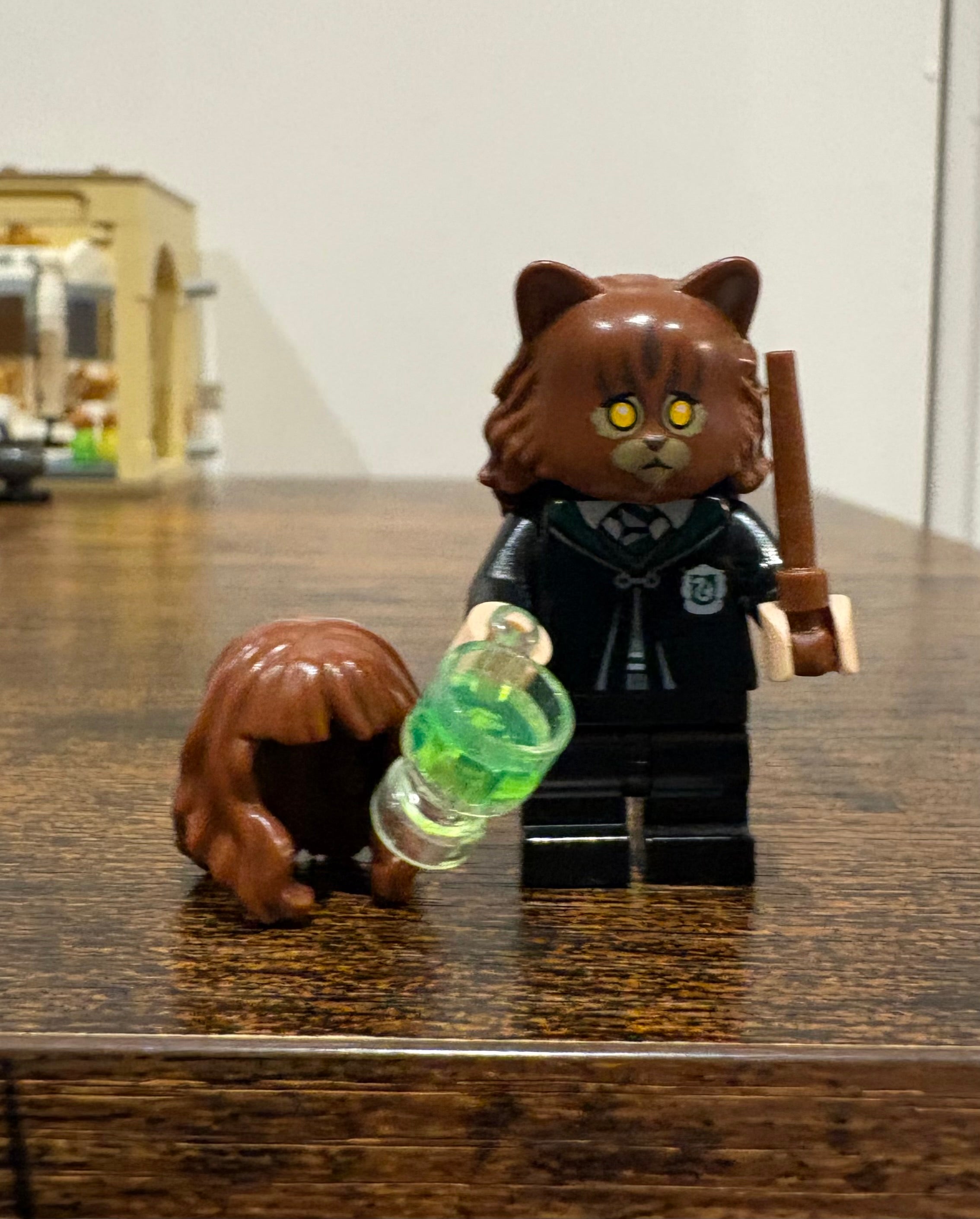 LEGO - 76386 Hogwarts Polyjuice Potion Mistake